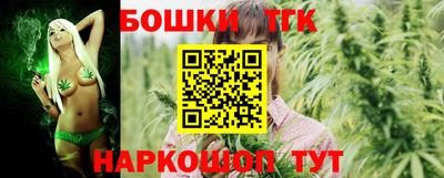 тгк Обь