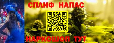 стаф Новокубанск