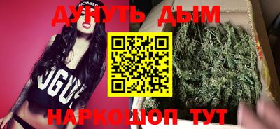 тгк Обь