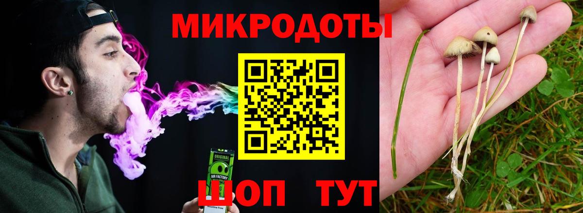 Псилоцибиновые грибы GOLDEN TEACHER  Галлюциногенные грибы мицелий  Сарапул  Вход с VPN 